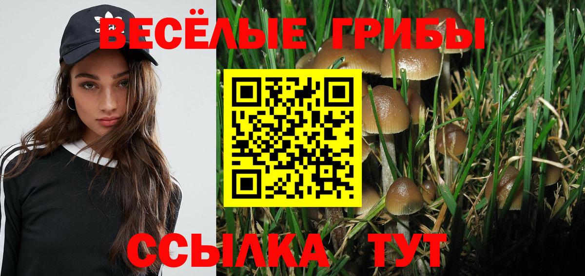 Кизилюрт  Галлюциногенные грибы GOLDEN TEACHER  Вход с VPN 